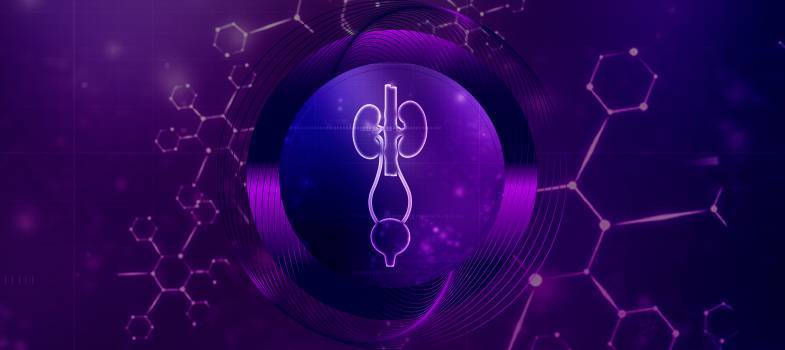 DONIESIENIA Z ESMO 2026. UROONKOLOGIA